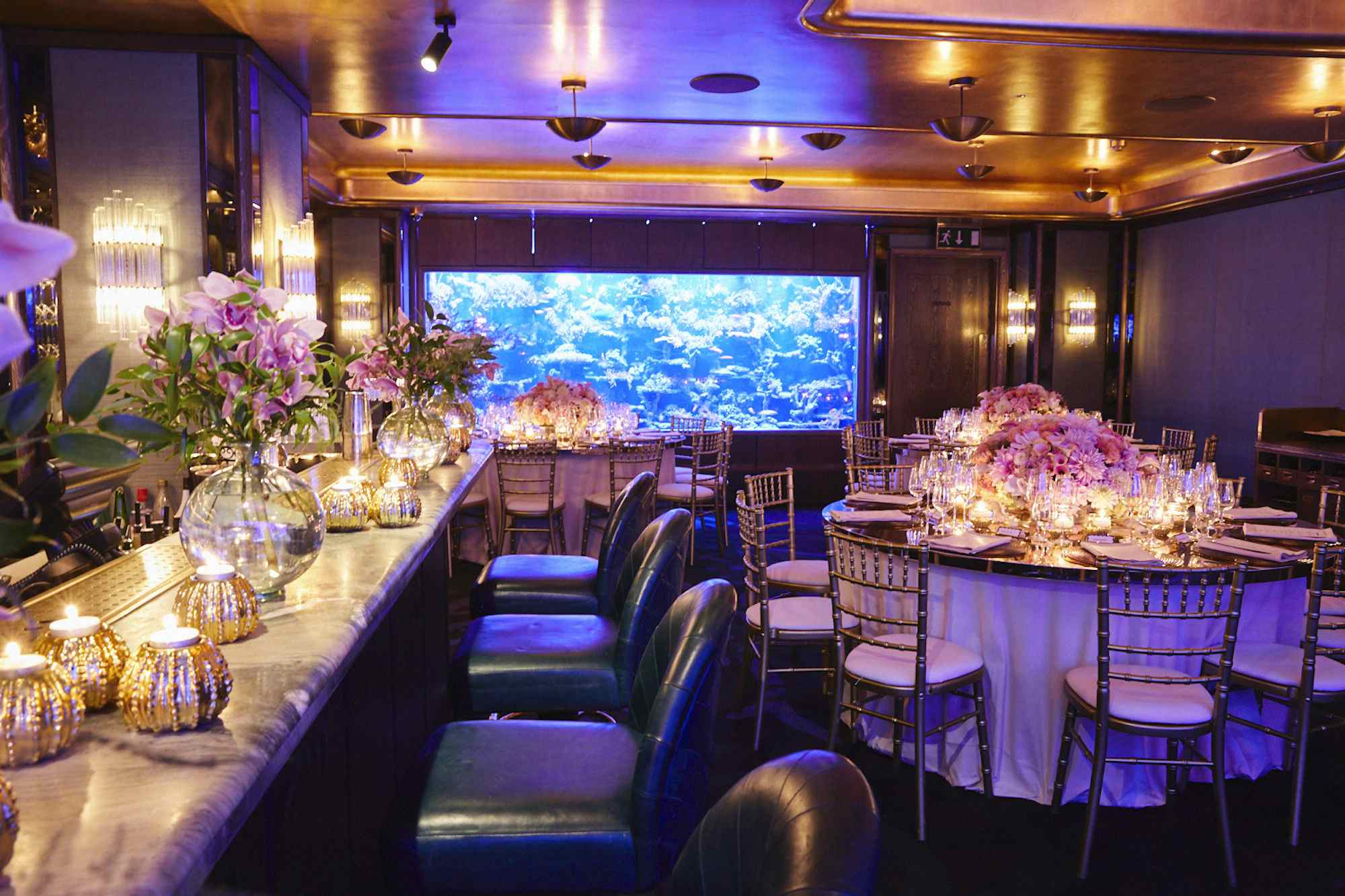 The Coral Reef Room 3