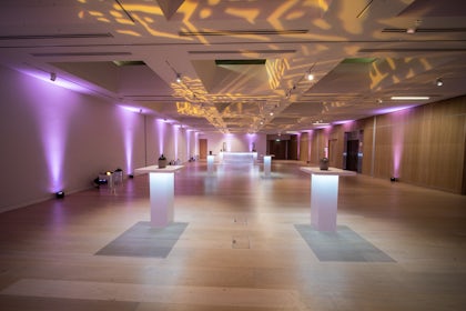 Helene & Johannes Huth Gallery 4