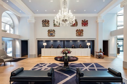 Halle Suite 8