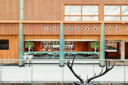 Royal Suite C 7