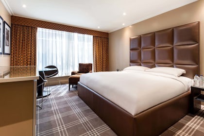 Royal Suite C 15