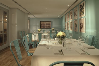 The Snug 2
