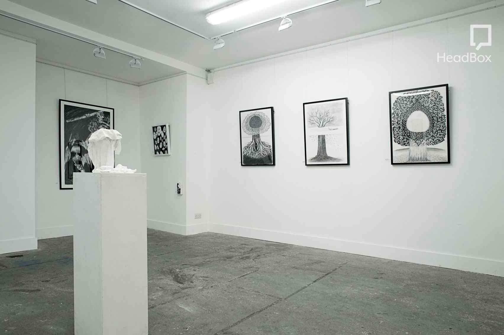 Gallery 14