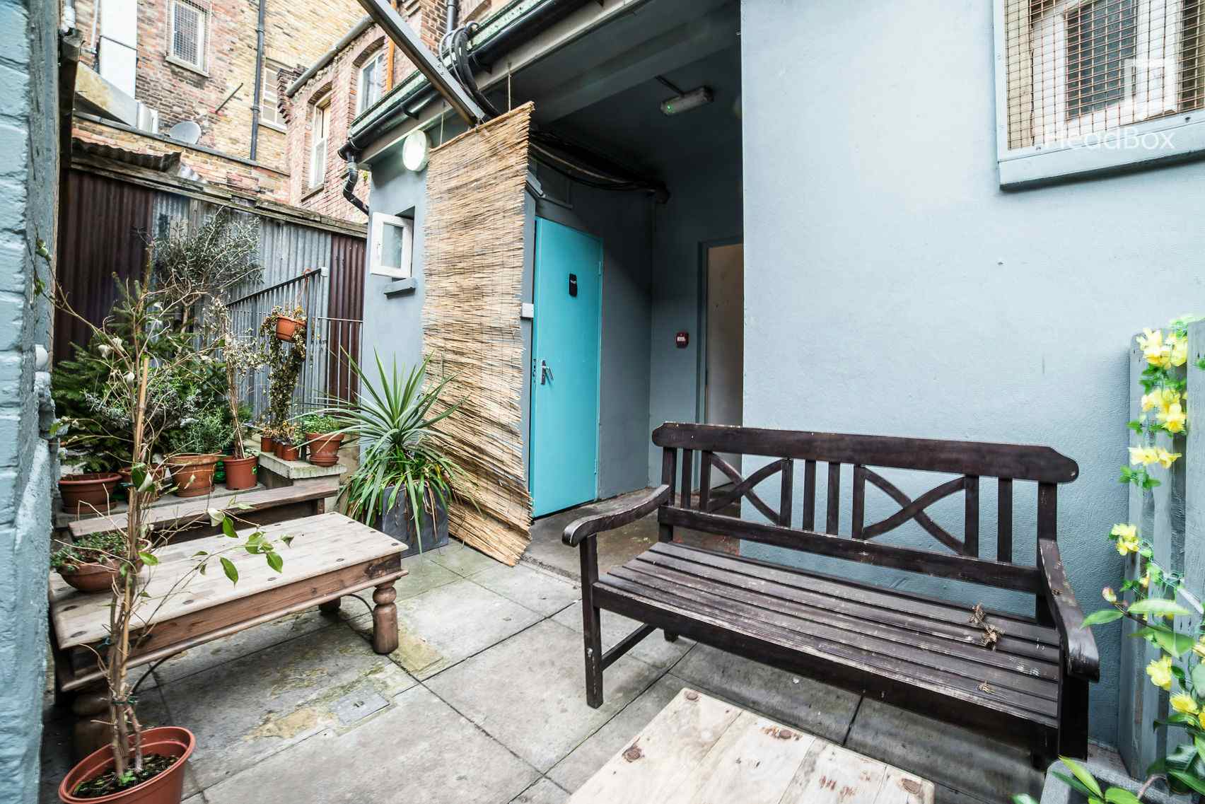 The Canvas Basement 4