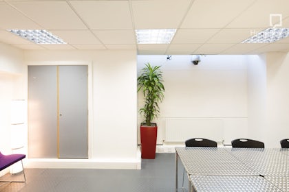 Pioneer Suite 1