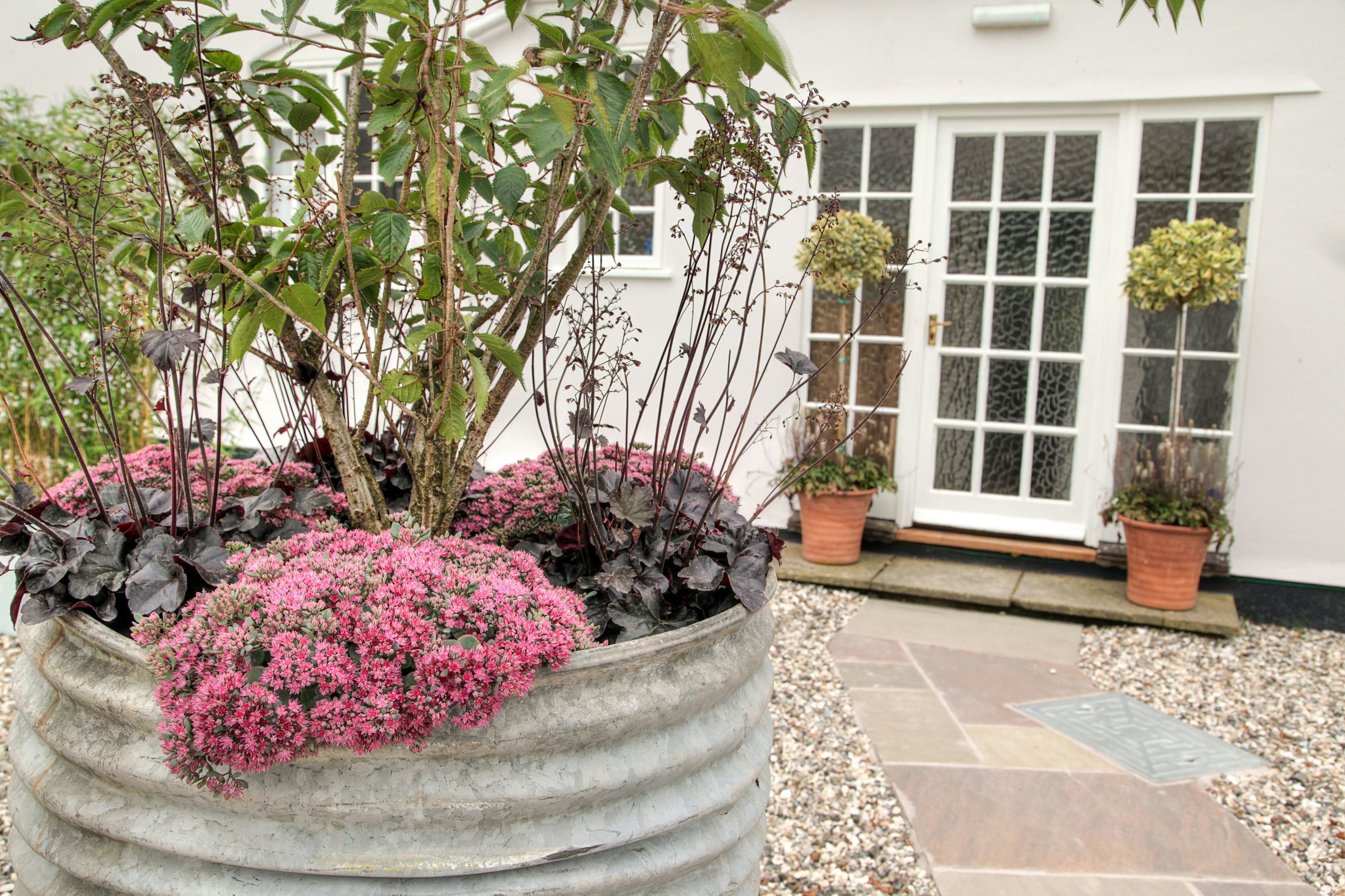 Conference Garden Suite 3