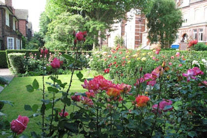 Garden 4