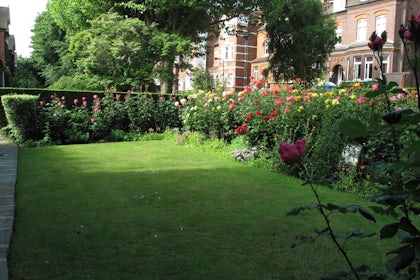 Garden 5