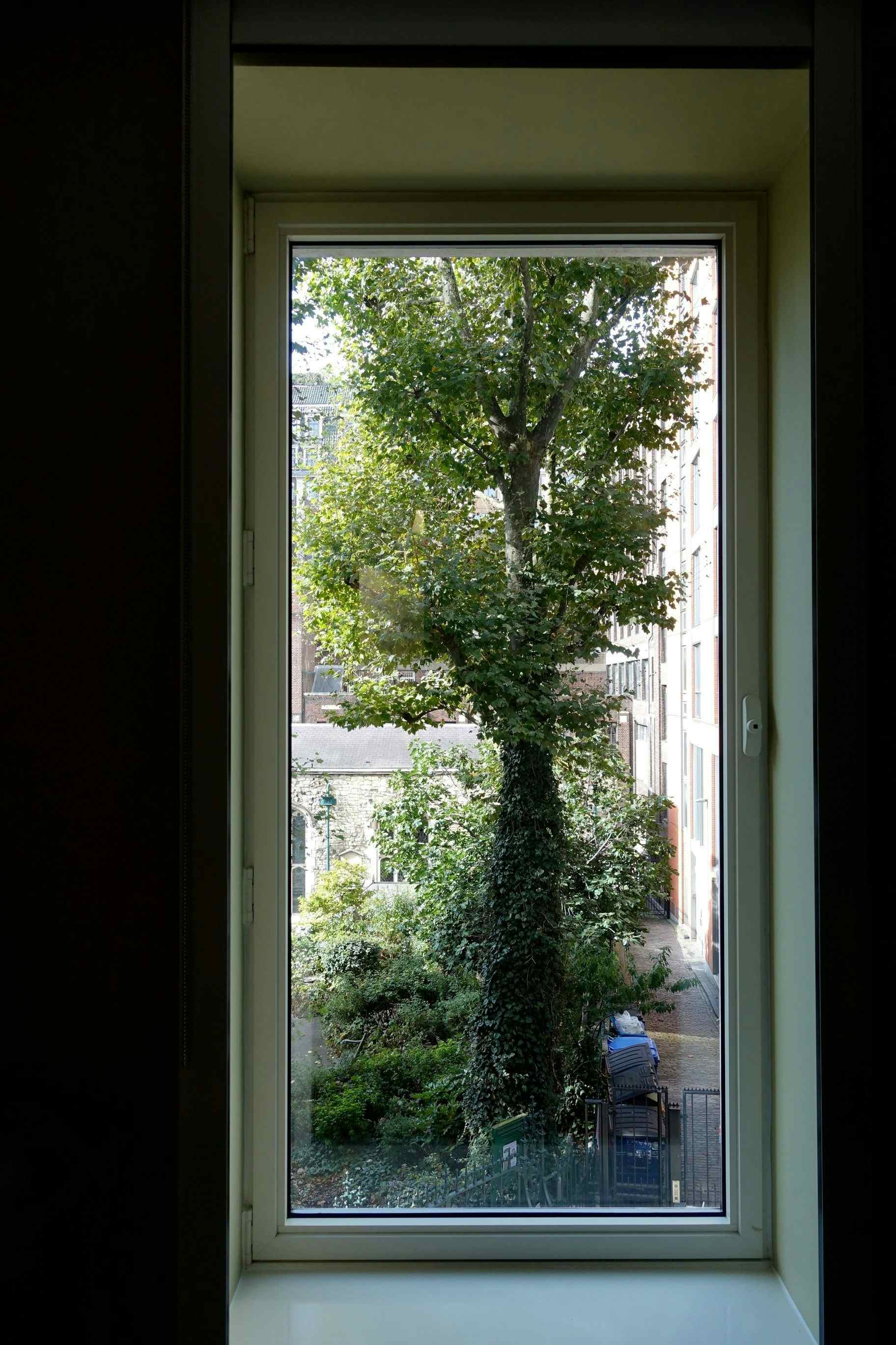 Oxford Circus viewed studio