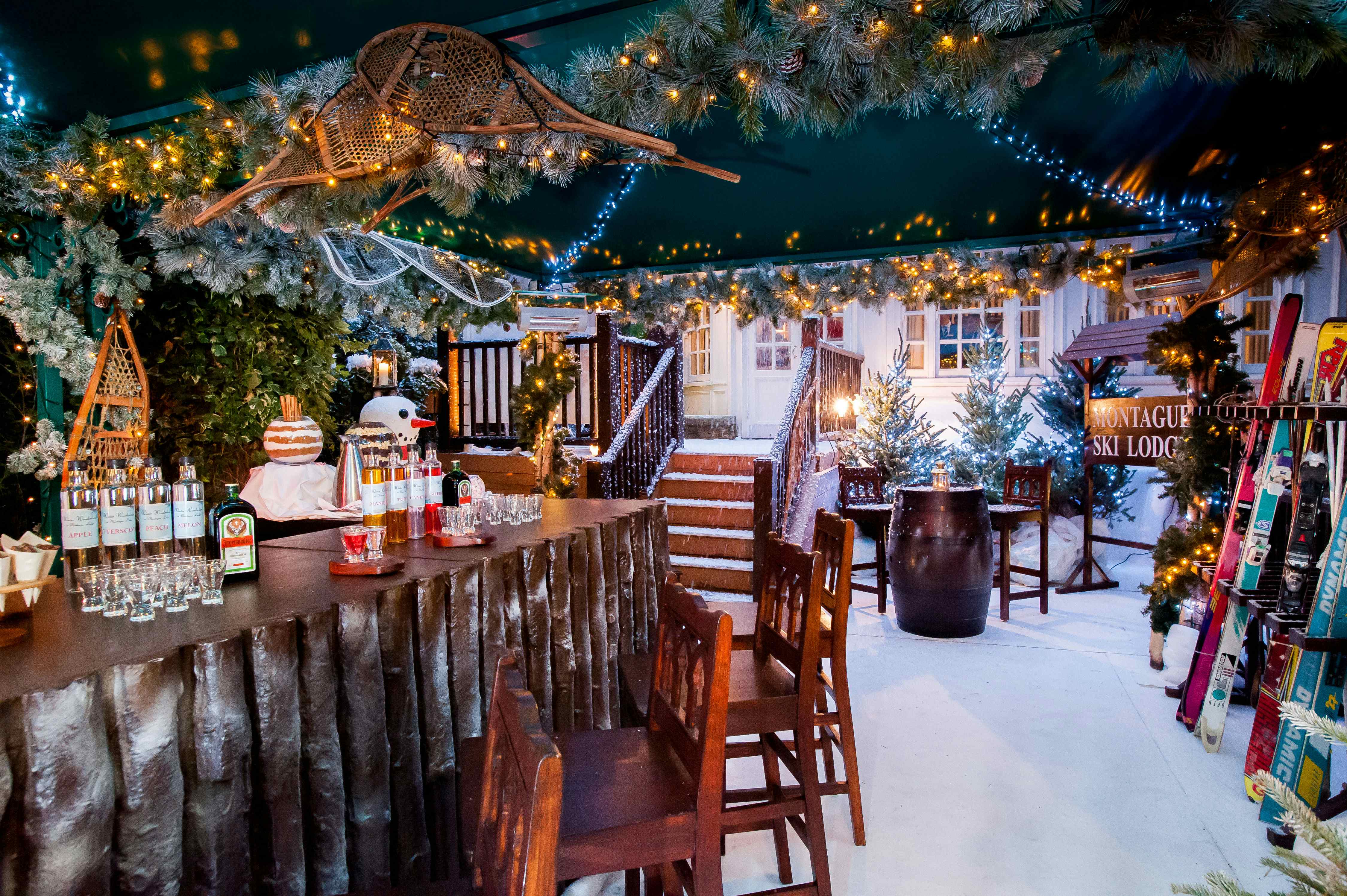 The Ski Lodge, The Montague on the Gardens