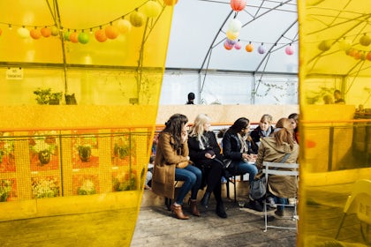 The Greenhouse 2