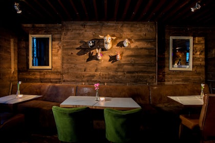 The Treehouse 2