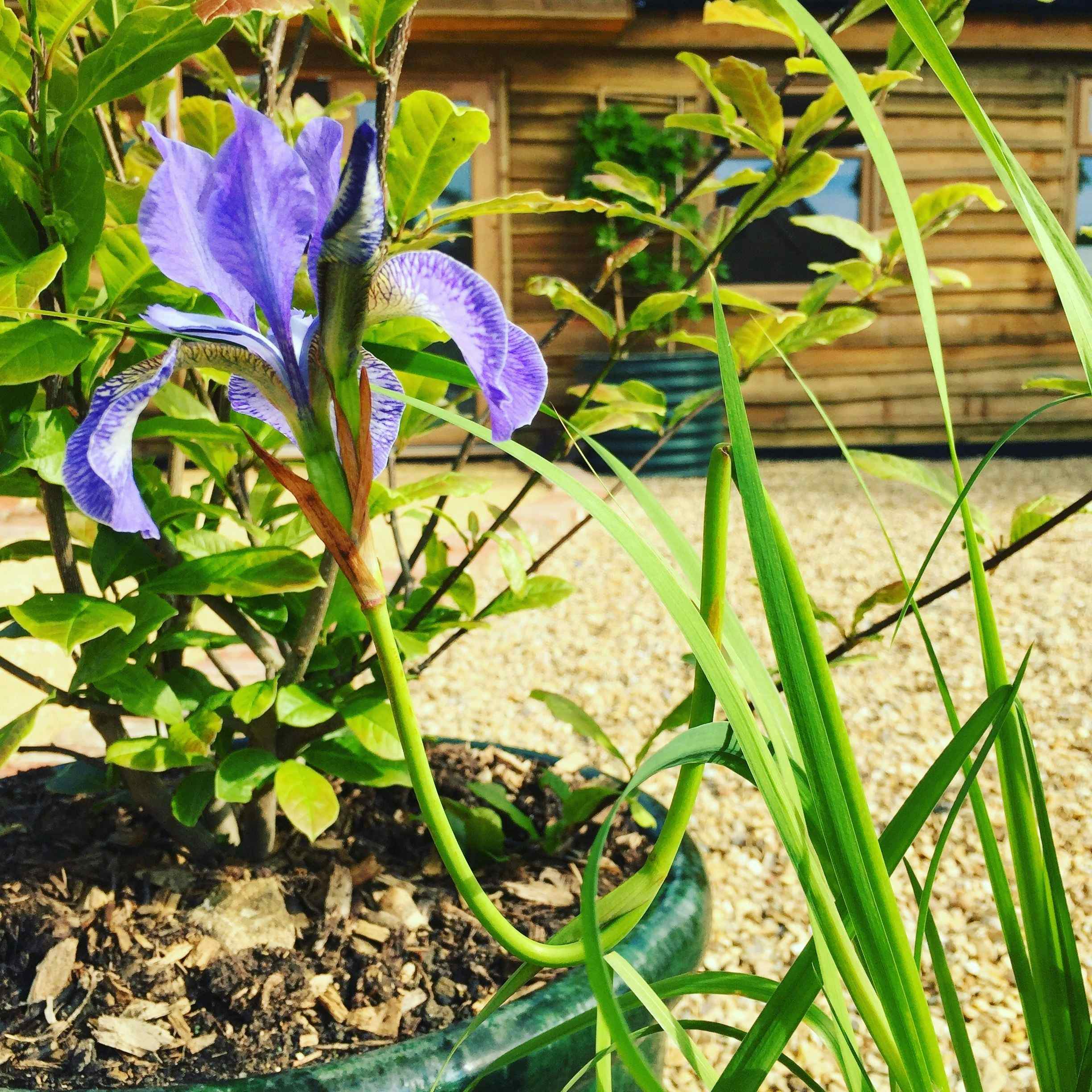 The Peaceful, Relaxing, Inspirational Barn 7