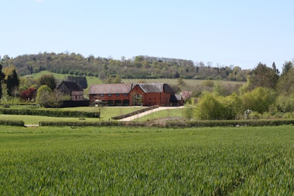 The Bull Shed 19