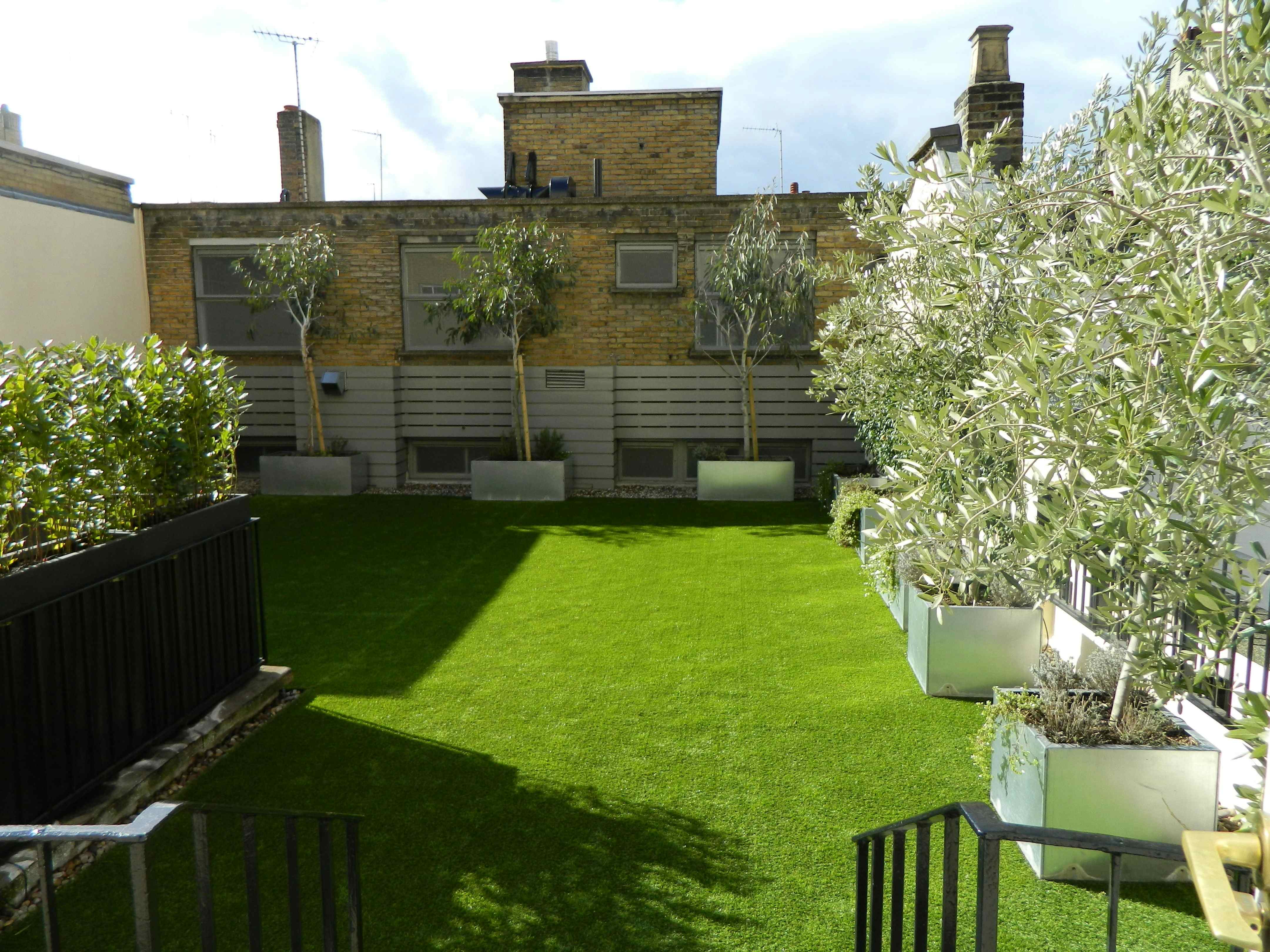 Ann Rylands & Terrace 8