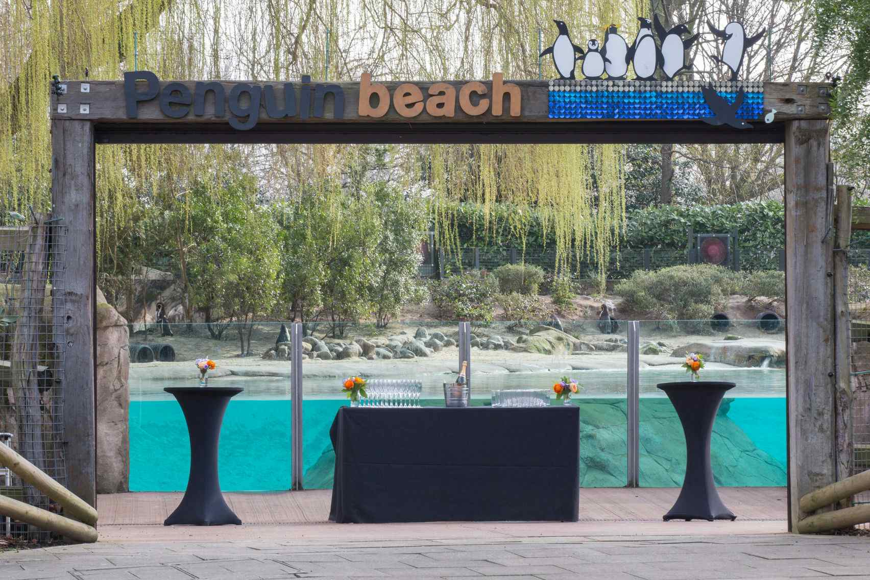 Book Penguin Beach, ZSL London Zoo (London) – HeadBox