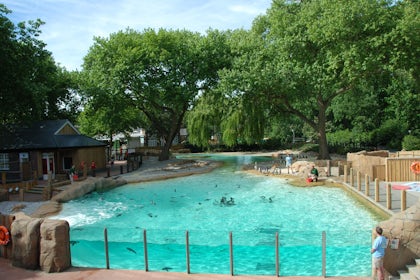 Penguin Beach 4