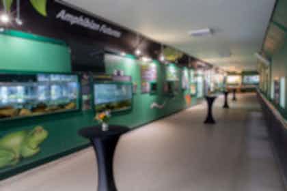 Amphibian and Reptile House 1
