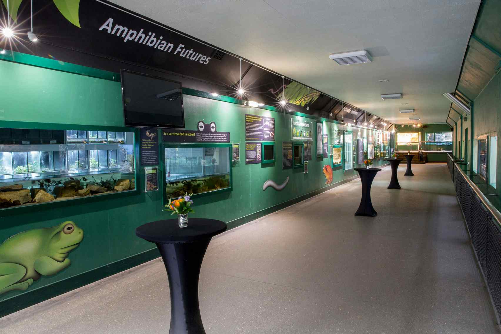 Book Amphibian and Reptile House, ZSL London Zoo (London) – HeadBox