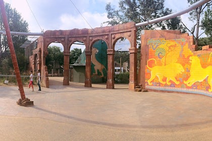 Land of the Lions 3