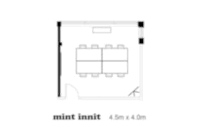 Mint Innit 15