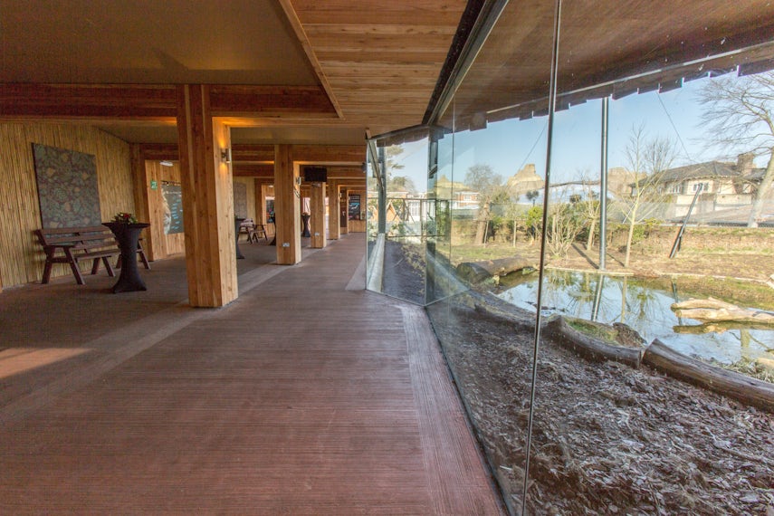 Tiger Territory 3D tour