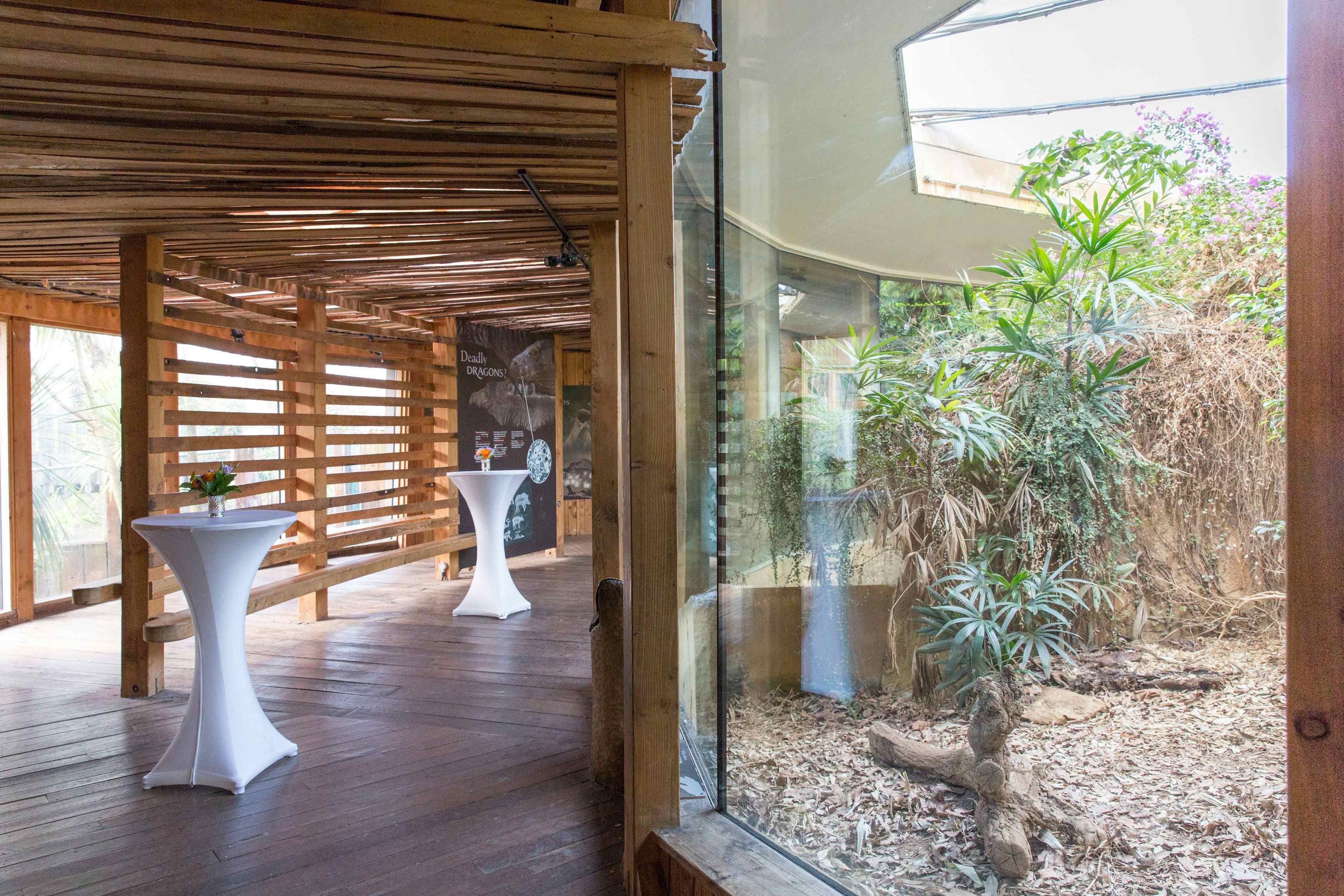 Book The Attenborough Komodo Dragon House At Zsl London Zoo A London Venue For Hire Headbox