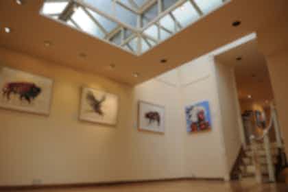 Three Adjoining Gallery Display Rooms 4