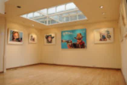 Three Adjoining Gallery Display Rooms 8