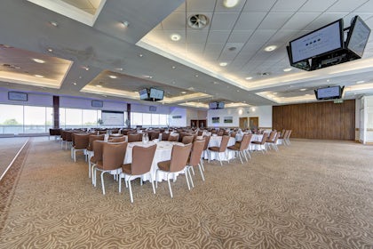 Diomed Suite 1