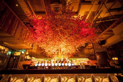 Main Bar 1