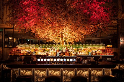 Main Bar 3