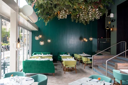 The Lampery 13