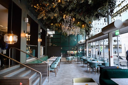 The Lampery 16
