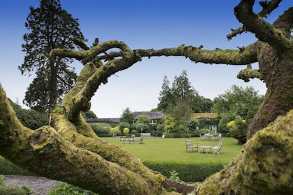 The Walled Garden 2
