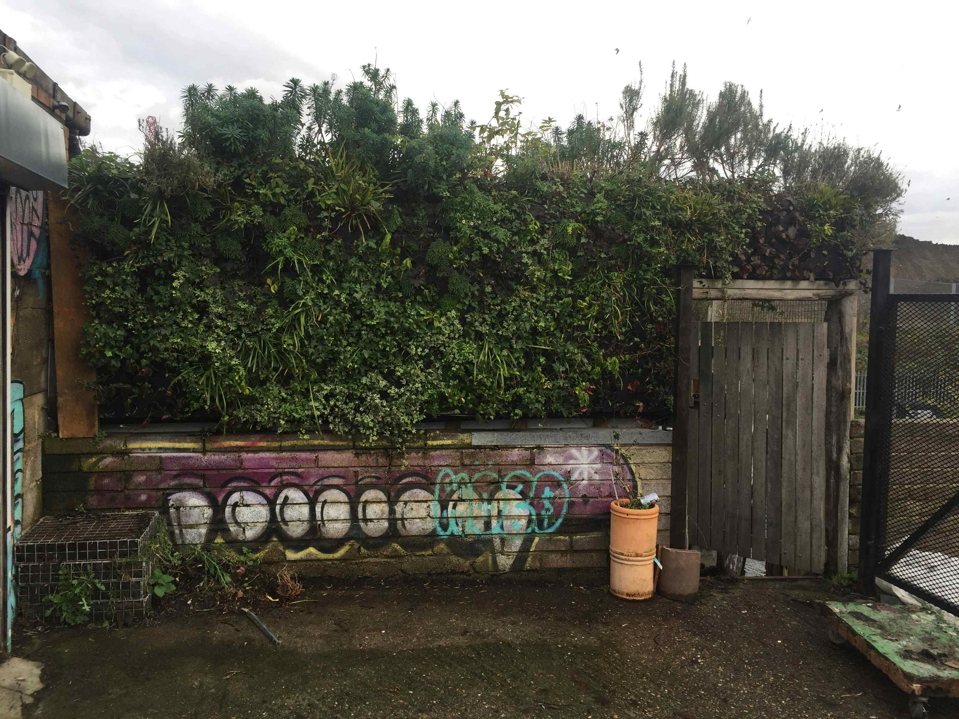 Photography Film Dining 5