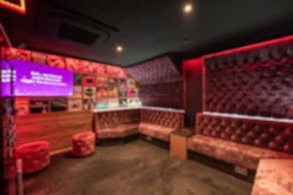 Exclusive Venue Hire - Private Karaoke Rooms 2