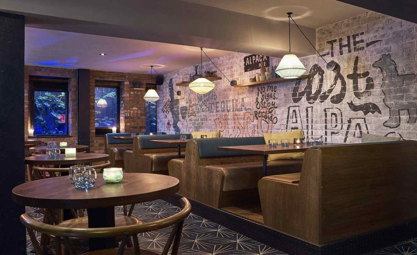 The Lost Alpaca Bar 1