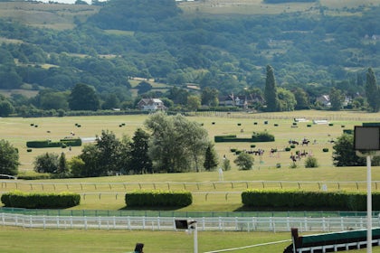 Outdoor Events 7