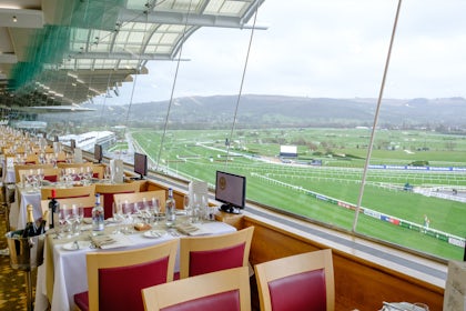 Panoramic Suite 4