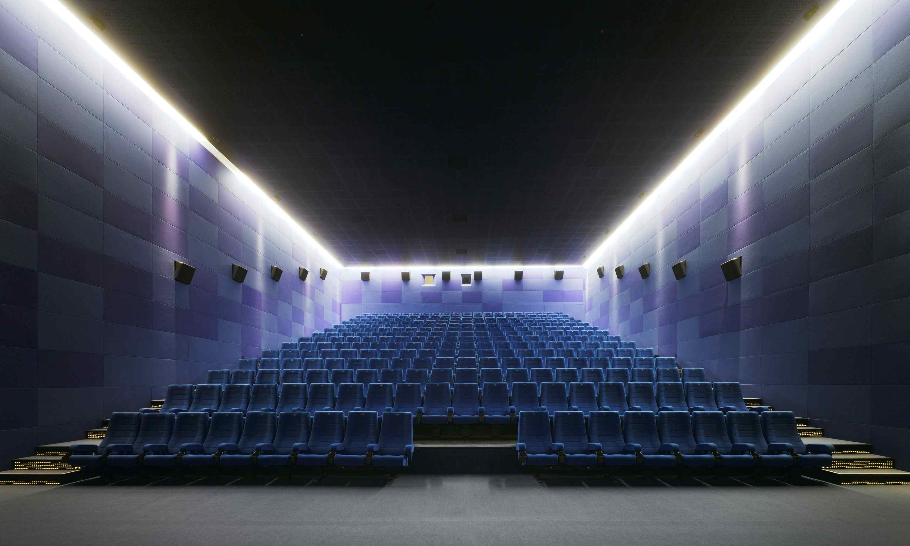 Screen 1, Light House Cinema