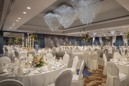 Carton Suite 2