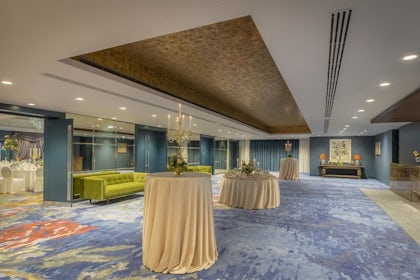 Carton Suite 3