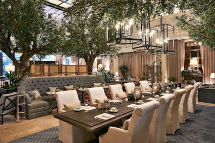 Palm Court 1