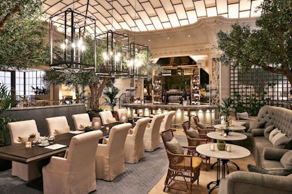 Palm Court 2