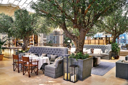 Palm Court 3