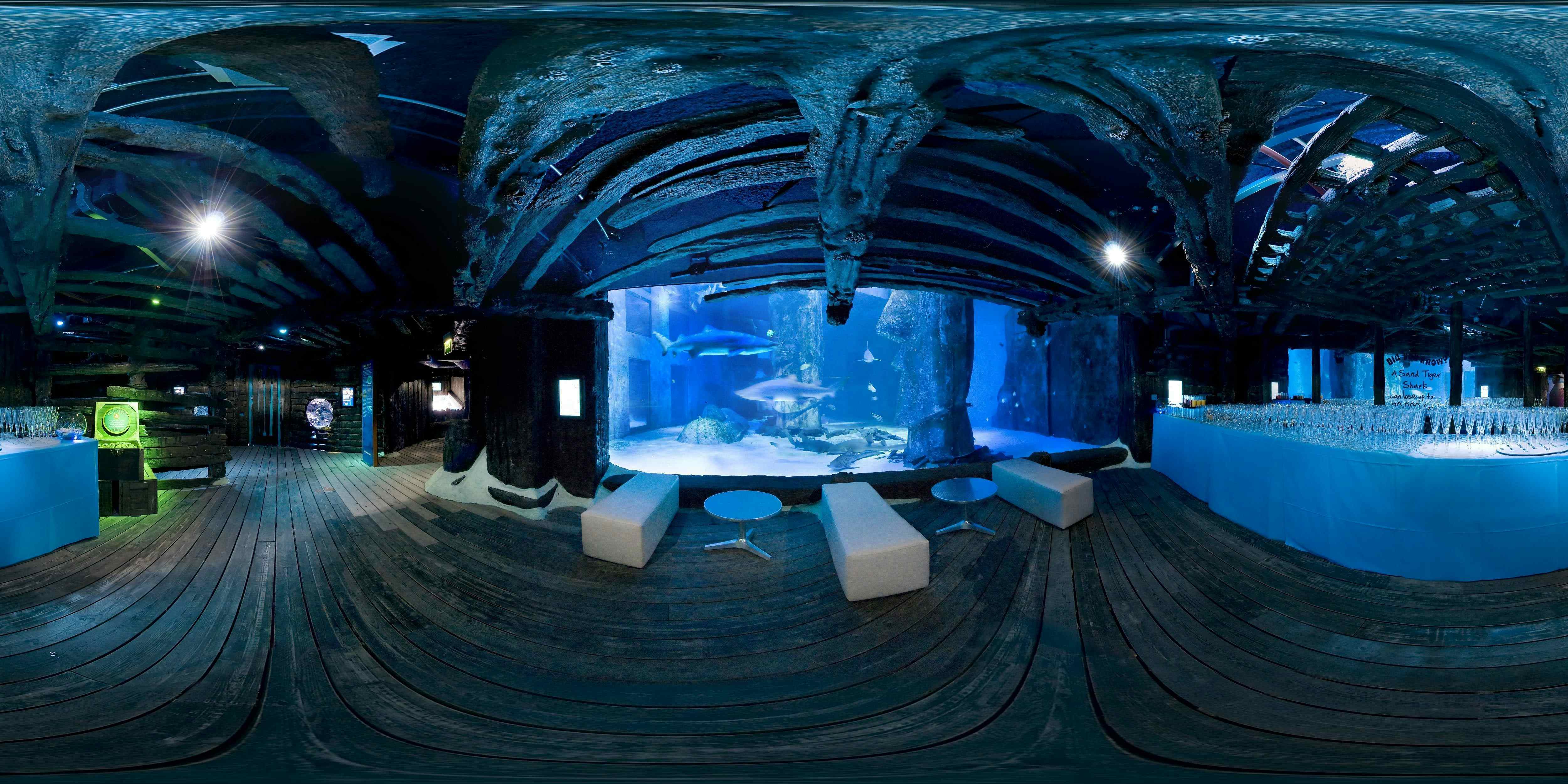 Book Venue Hire At Sealife London Aquarium A London Venue For Hire   Headbox 4 