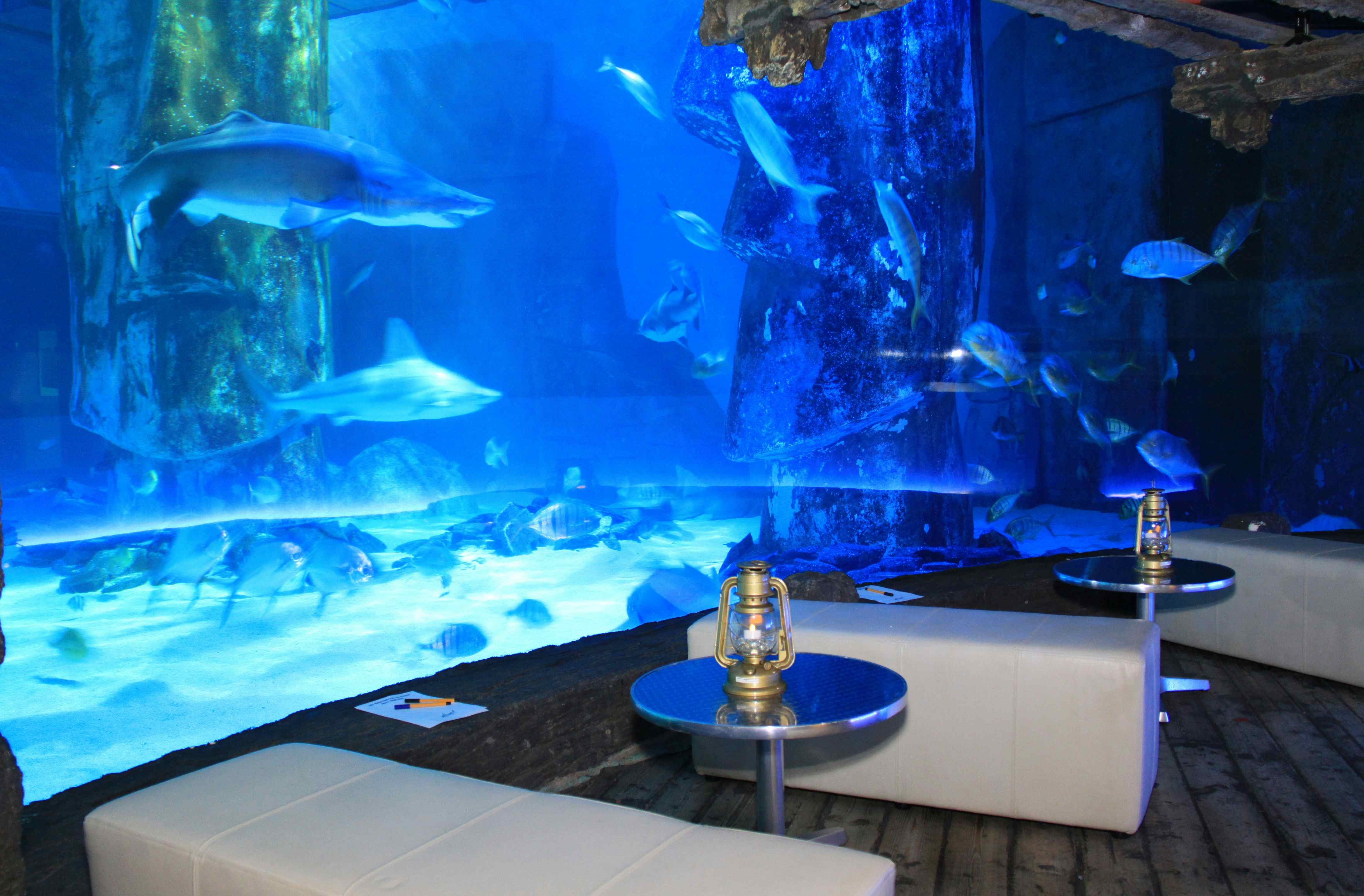 Book Venue Hire At Sealife London Aquarium A London Venue For Hire   Headbox 2 