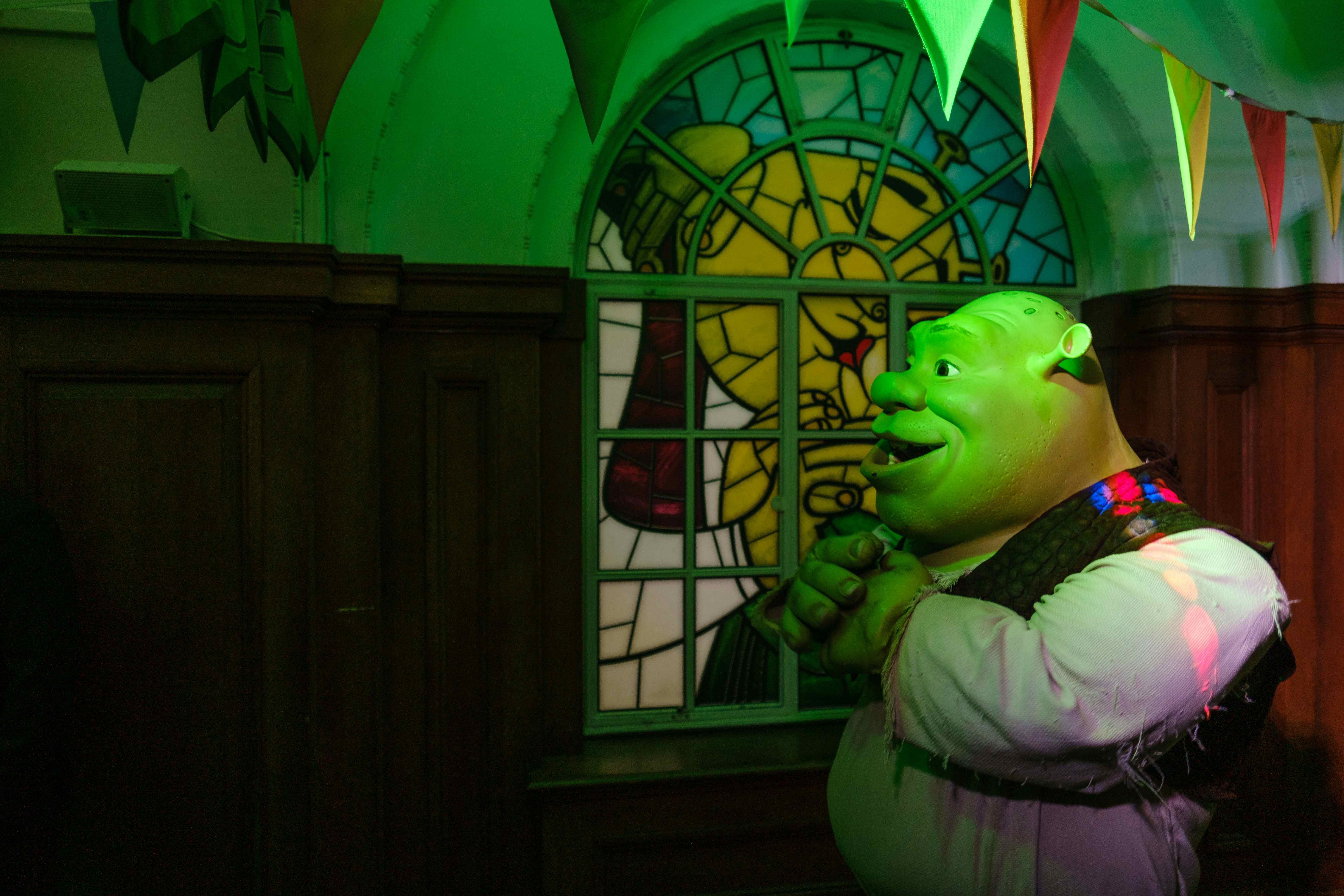 Shrek: The Most Epic Animated Adventure Ever! - nj5u8d5