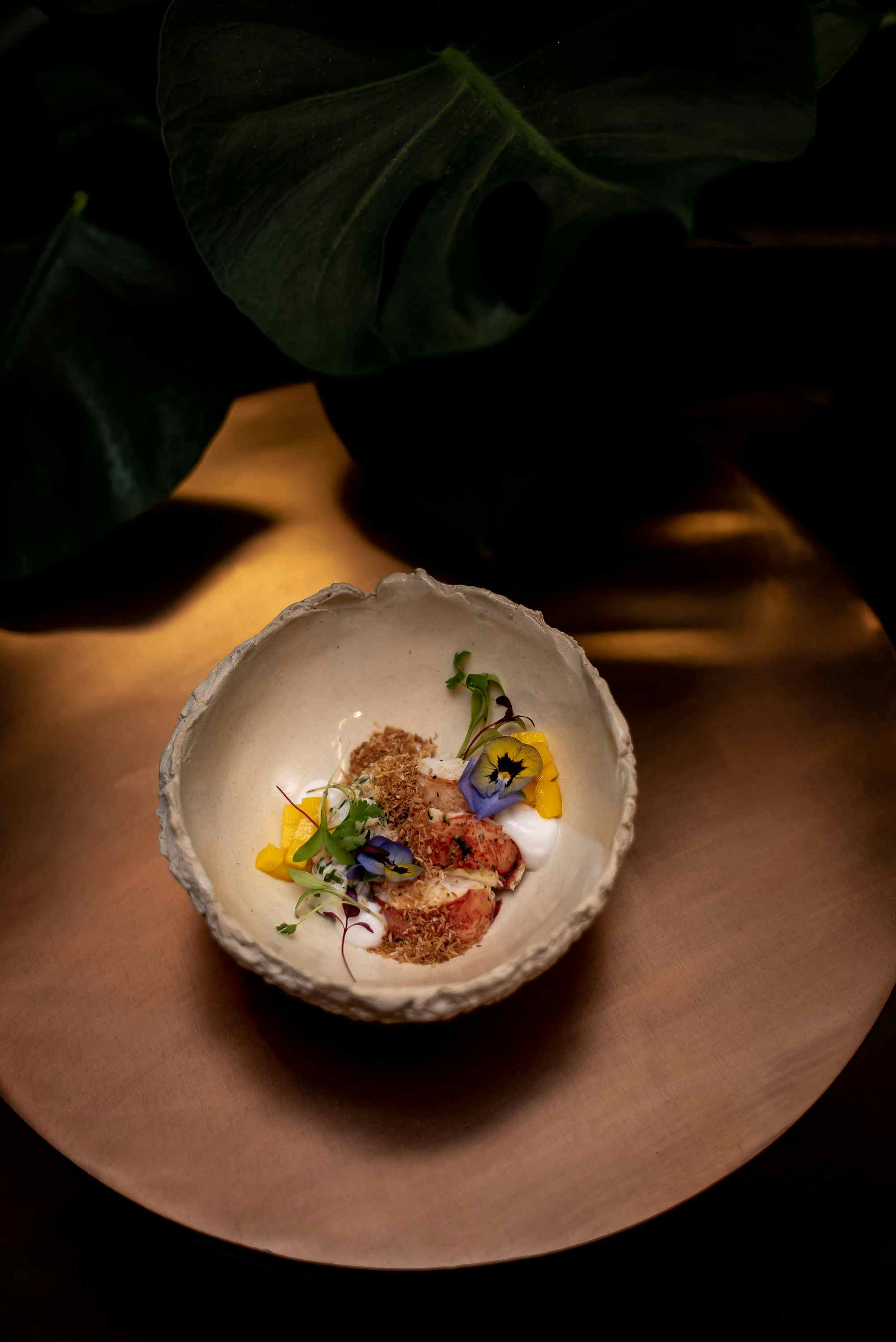 The Wild Monkey Bar 1